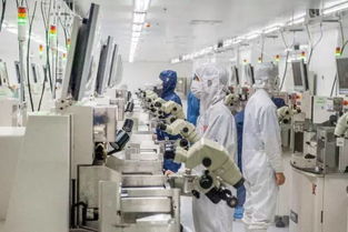 省委書記與省長親臨湖頭光電園指導(dǎo)工作，園區(qū)發(fā)展成就矚目